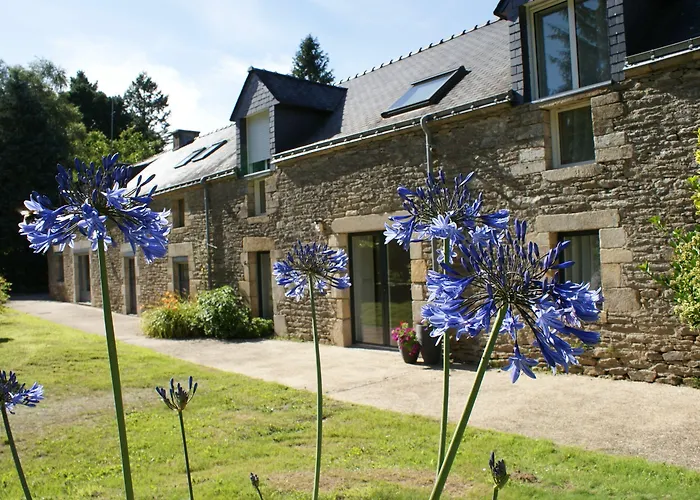 Aux Agapanthes
